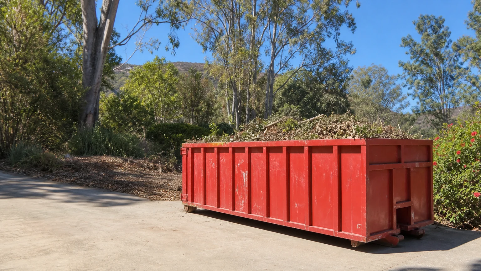 Red roll-off dumpster with trimmed branches and yard debris at a Bonita property